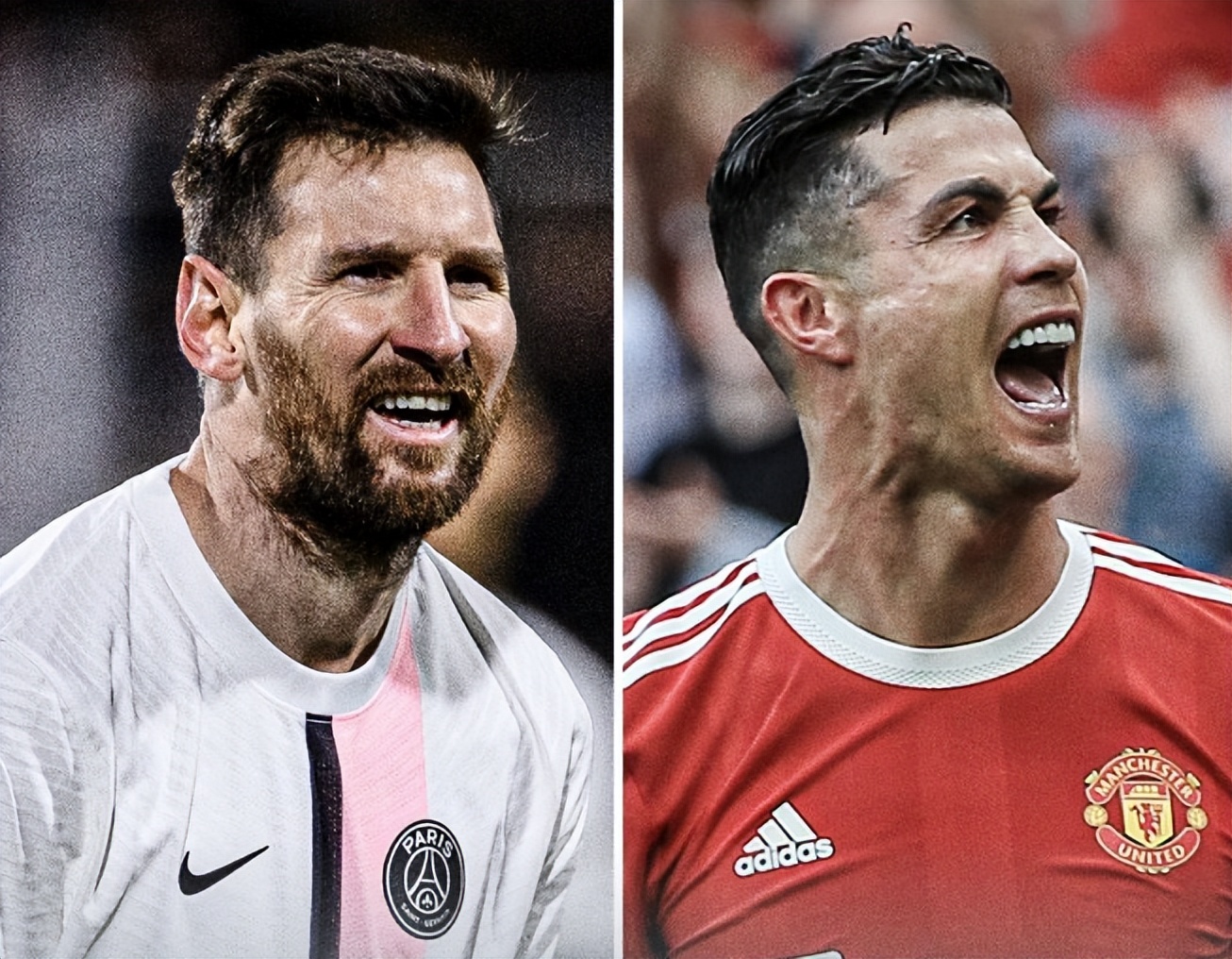 态无疑是这 态无疑是这